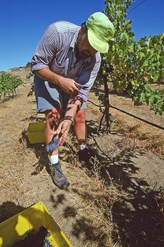 1996-10 Harvest at Tapteil 05.jpg